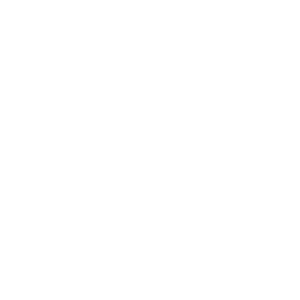 Icon container
